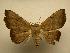  ( - 08-CRBS-586)  @13 [ ] Unspecified (default): All Rights Reserved  Unspecified Unspecified