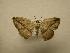  ( - 08-CRBS-611)  @12 [ ] Unspecified (default): All Rights Reserved  Unspecified Unspecified