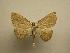  ( - 08-CRBS-613)  @13 [ ] Unspecified (default): All Rights Reserved  Unspecified Unspecified
