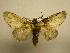  ( - 08-CRBS-621)  @13 [ ] Unspecified (default): All Rights Reserved  Unspecified Unspecified