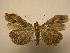  ( - 08-CRBS-666)  @12 [ ] Unspecified (default): All Rights Reserved  Unspecified Unspecified