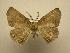  ( - 08-CRBS-752)  @14 [ ] Unspecified (default): All Rights Reserved  Unspecified Unspecified