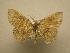  (Cyclophora Sullivan2845 - 08-CRBS-758)  @13 [ ] Unspecified (default): All Rights Reserved  Unspecified Unspecified