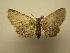  ( - 08-CRBS-764)  @12 [ ] Unspecified (default): All Rights Reserved  Unspecified Unspecified