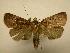  ( - 08-CRBS-799)  @13 [ ] Unspecified (default): All Rights Reserved  Unspecified Unspecified