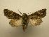  ( - 08-CRBS-803)  @13 [ ] Unspecified (default): All Rights Reserved  Unspecified Unspecified