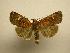  ( - 08-CRBS-817)  @14 [ ] Unspecified (default): All Rights Reserved  Unspecified Unspecified