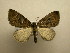  ( - 08-CRBS-903)  @13 [ ] Unspecified (default): All Rights Reserved  Unspecified Unspecified