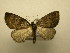  ( - 08-CRBS-906)  @13 [ ] Unspecified (default): All Rights Reserved  Unspecified Unspecified