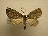  ( - 08-CRBS-907)  @13 [ ] Unspecified (default): All Rights Reserved  Unspecified Unspecified