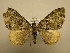  ( - 08-CRBS-908)  @13 [ ] Unspecified (default): All Rights Reserved  Unspecified Unspecified