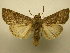  ( - 08-CRBS-922)  @14 [ ] Unspecified (default): All Rights Reserved  Unspecified Unspecified