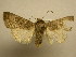  ( - 08-CRBS-923)  @13 [ ] Unspecified (default): All Rights Reserved  Unspecified Unspecified