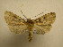  ( - 08-CRBS-938)  @12 [ ] Unspecified (default): All Rights Reserved  Unspecified Unspecified