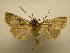  ( - 08-CRBS-940)  @12 [ ] Unspecified (default): All Rights Reserved  Unspecified Unspecified