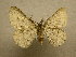  ( - 08-CRBS-947)  @13 [ ] Unspecified (default): All Rights Reserved  Unspecified Unspecified