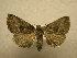  ( - 08-CRBS-978)  @13 [ ] Unspecified (default): All Rights Reserved  Unspecified Unspecified