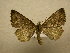  ( - 08-CRBS-979)  @14 [ ] Unspecified (default): All Rights Reserved  Unspecified Unspecified