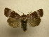  ( - 08-CRBS-981)  @14 [ ] Unspecified (default): All Rights Reserved  Unspecified Unspecified