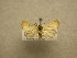  ( - 08-CRBS-1028)  @12 [ ] Unspecified (default): All Rights Reserved  Unspecified Unspecified