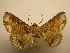  ( - 09-CRBS-097)  @14 [ ] Unspecified (default): All Rights Reserved  Unspecified Unspecified