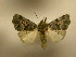  (Fracara - 09-CRBS-132)  @14 [ ] Unspecified (default): All Rights Reserved  Unspecified Unspecified