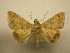  ( - 09-CRBS-159)  @13 [ ] Unspecified (default): All Rights Reserved  Unspecified Unspecified