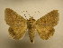  ( - 09-CRBS-160)  @13 [ ] Unspecified (default): All Rights Reserved  Unspecified Unspecified