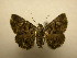  ( - 09-CRBS-169)  @13 [ ] Unspecified (default): All Rights Reserved  Unspecified Unspecified