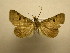  ( - 09-CRBS-183)  @13 [ ] Unspecified (default): All Rights Reserved  Unspecified Unspecified