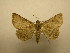  ( - 09-CRBS-185)  @13 [ ] Unspecified (default): All Rights Reserved  Unspecified Unspecified
