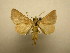  ( - 09-CRBS-189)  @14 [ ] Unspecified (default): All Rights Reserved  Unspecified Unspecified