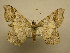  ( - 09-CRBS-216)  @14 [ ] Unspecified (default): All Rights Reserved  Unspecified Unspecified