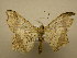  ( - 09-CRBS-218)  @14 [ ] Unspecified (default): All Rights Reserved  Unspecified Unspecified