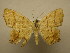  ( - 09-CRBS-219)  @13 [ ] Unspecified (default): All Rights Reserved  Unspecified Unspecified
