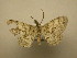  ( - 09-CRBS-234)  @14 [ ] Unspecified (default): All Rights Reserved  Unspecified Unspecified