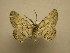  ( - 09-CRBS-237)  @14 [ ] Unspecified (default): All Rights Reserved  Unspecified Unspecified