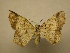  ( - 09-CRBS-239)  @14 [ ] Unspecified (default): All Rights Reserved  Unspecified Unspecified