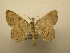  ( - 09-CRBS-244)  @11 [ ] Unspecified (default): All Rights Reserved  Unspecified Unspecified