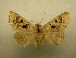  (Herminodes Sullivan5784 - 09-CRBS-287)  @13 [ ] Unspecified (default): All Rights Reserved  Unspecified Unspecified