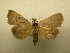  (Herminodes Sullivan1848 - 09-CRBS-288)  @14 [ ] Unspecified (default): All Rights Reserved  Unspecified Unspecified