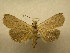  ( - 09-CRBS-294)  @14 [ ] Unspecified (default): All Rights Reserved  Unspecified Unspecified