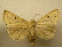  (Herminodes Sullivan2323 - 09-CRBS-300)  @13 [ ] Unspecified (default): All Rights Reserved  Unspecified Unspecified