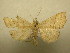  ( - 09-CRBS-309)  @13 [ ] Unspecified (default): All Rights Reserved  Unspecified Unspecified