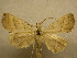 ( - 09-CRBS-311)  @14 [ ] Unspecified (default): All Rights Reserved  Unspecified Unspecified