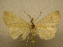  ( - 09-CRBS-312)  @11 [ ] Unspecified (default): All Rights Reserved  Unspecified Unspecified