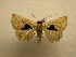  ( - 09-CRBS-353)  @13 [ ] Unspecified (default): All Rights Reserved  Unspecified Unspecified