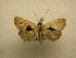  ( - 09-CRBS-354)  @13 [ ] Unspecified (default): All Rights Reserved  Unspecified Unspecified