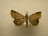  ( - 09-CRBS-355)  @13 [ ] Unspecified (default): All Rights Reserved  Unspecified Unspecified