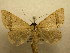  ( - 09-CRBS-357)  @13 [ ] Unspecified (default): All Rights Reserved  Unspecified Unspecified